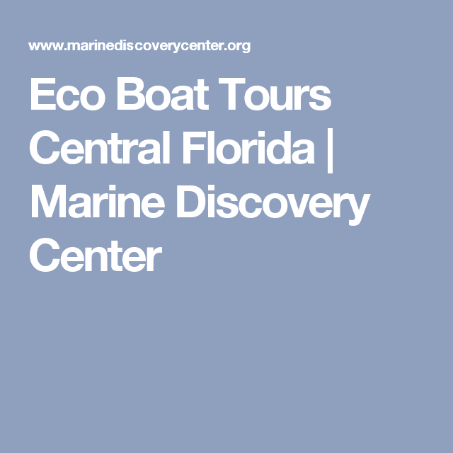 Dolphin Discovery Boat Tours